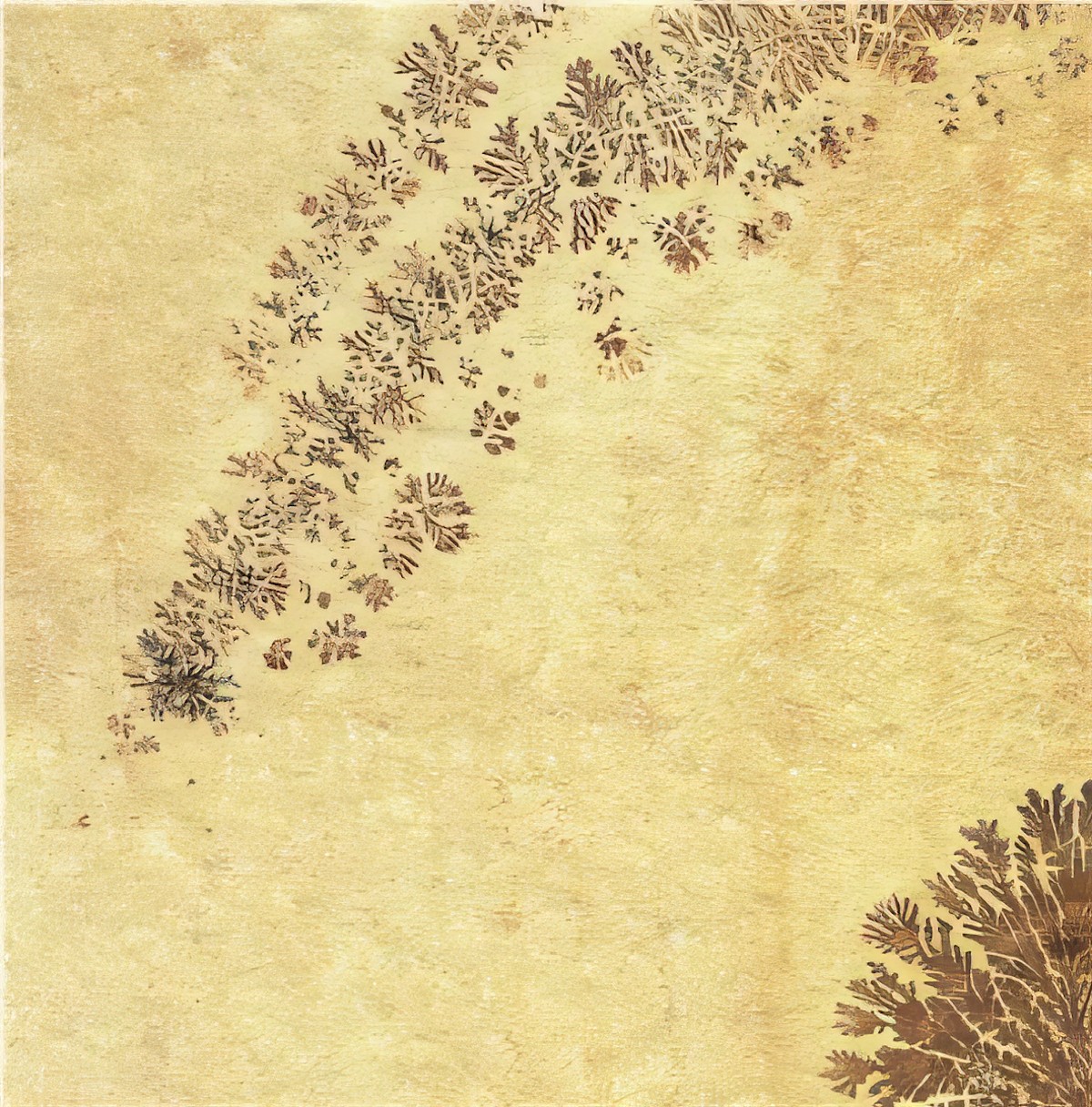 ULG-LMS-096 - Solnhofen Stone