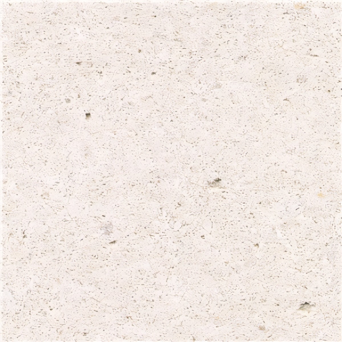 ULG-LMS-098 - Branco Do Mar Limestone
