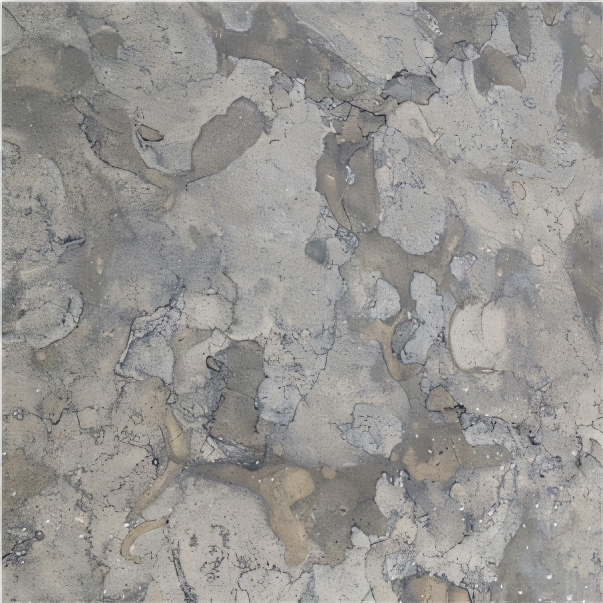 ULG-LMS-099 - Jerusalem Grey Limestone