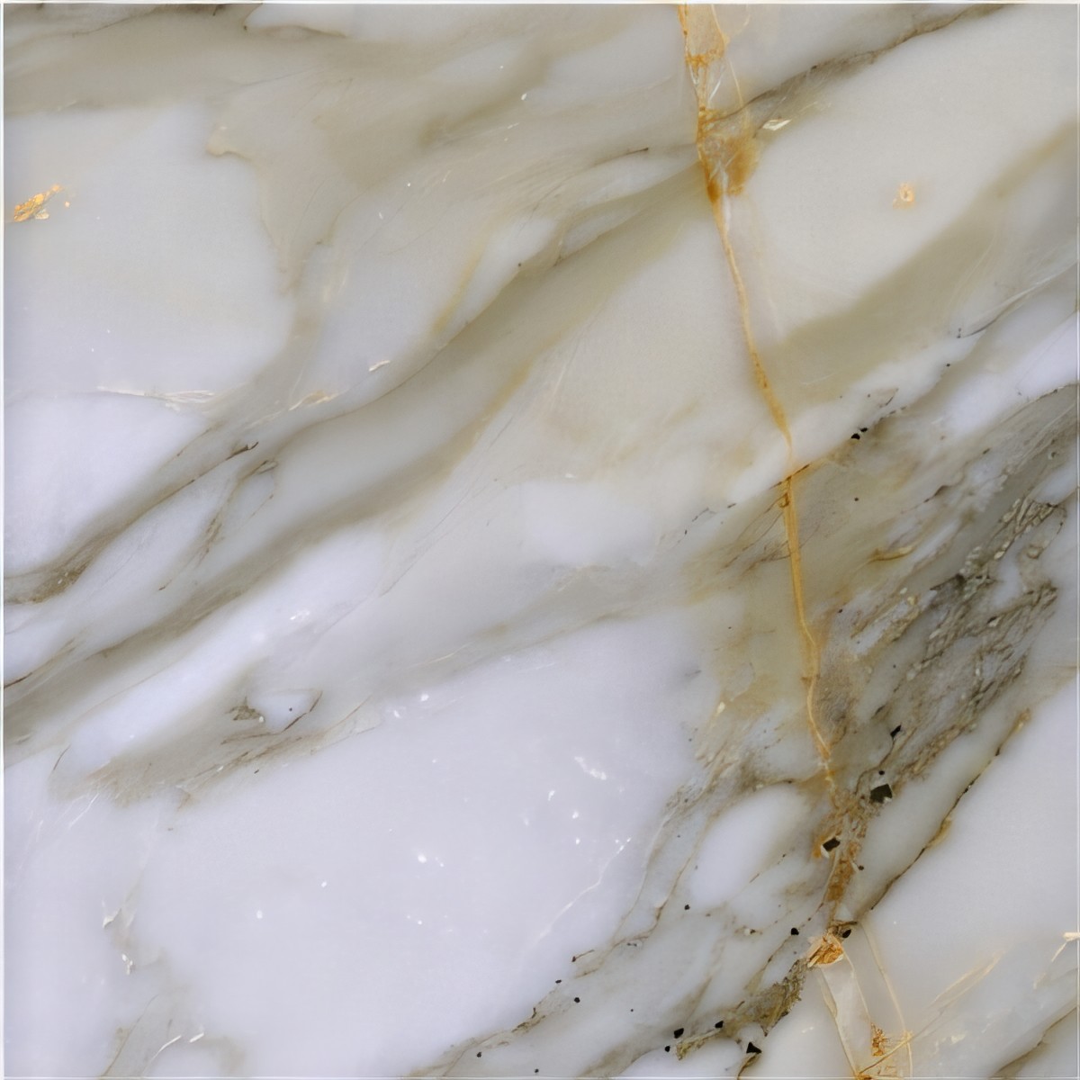 ULG-MBL-004 - Calacatta Gold Marble