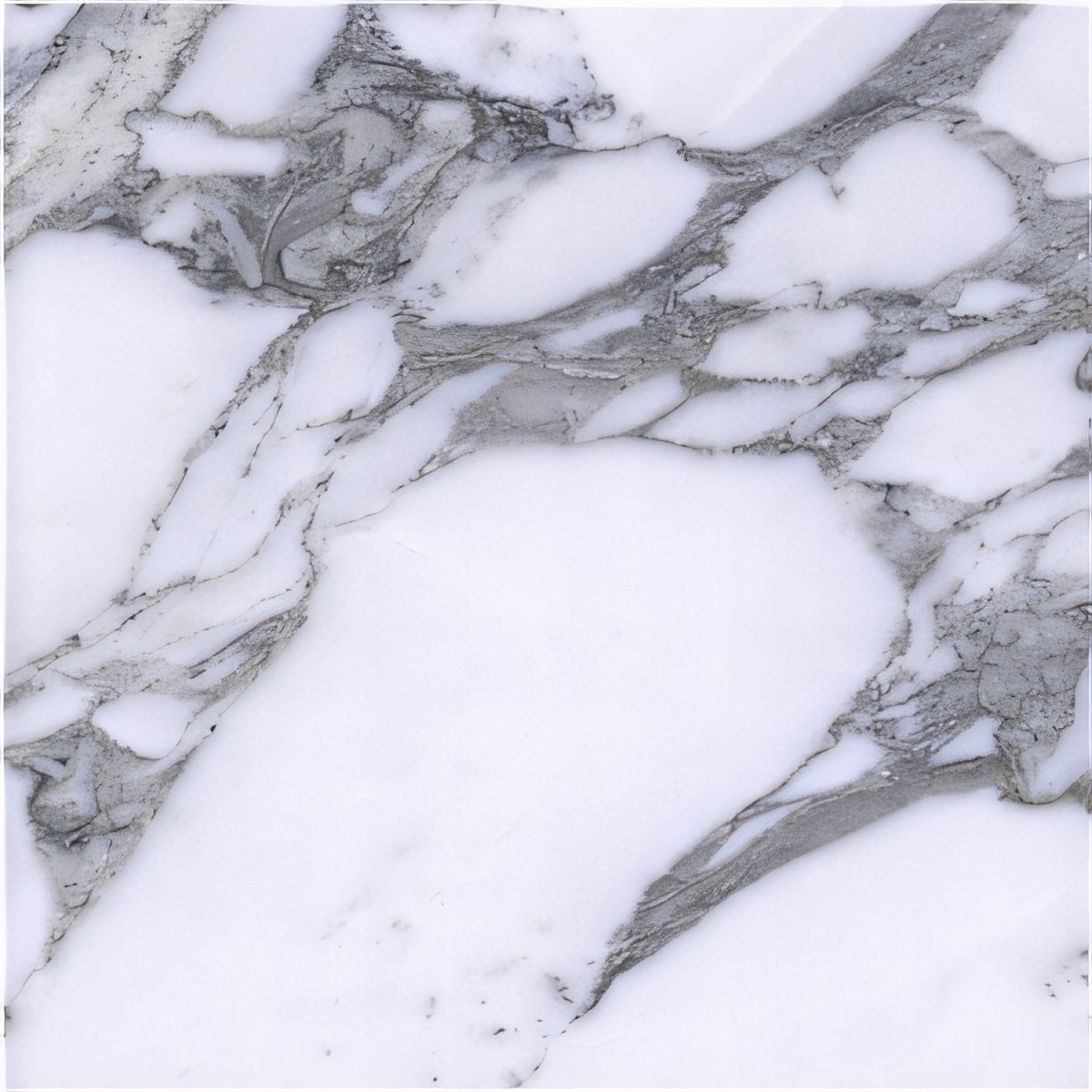 ULG-MBL-017 - Arabescato Marble