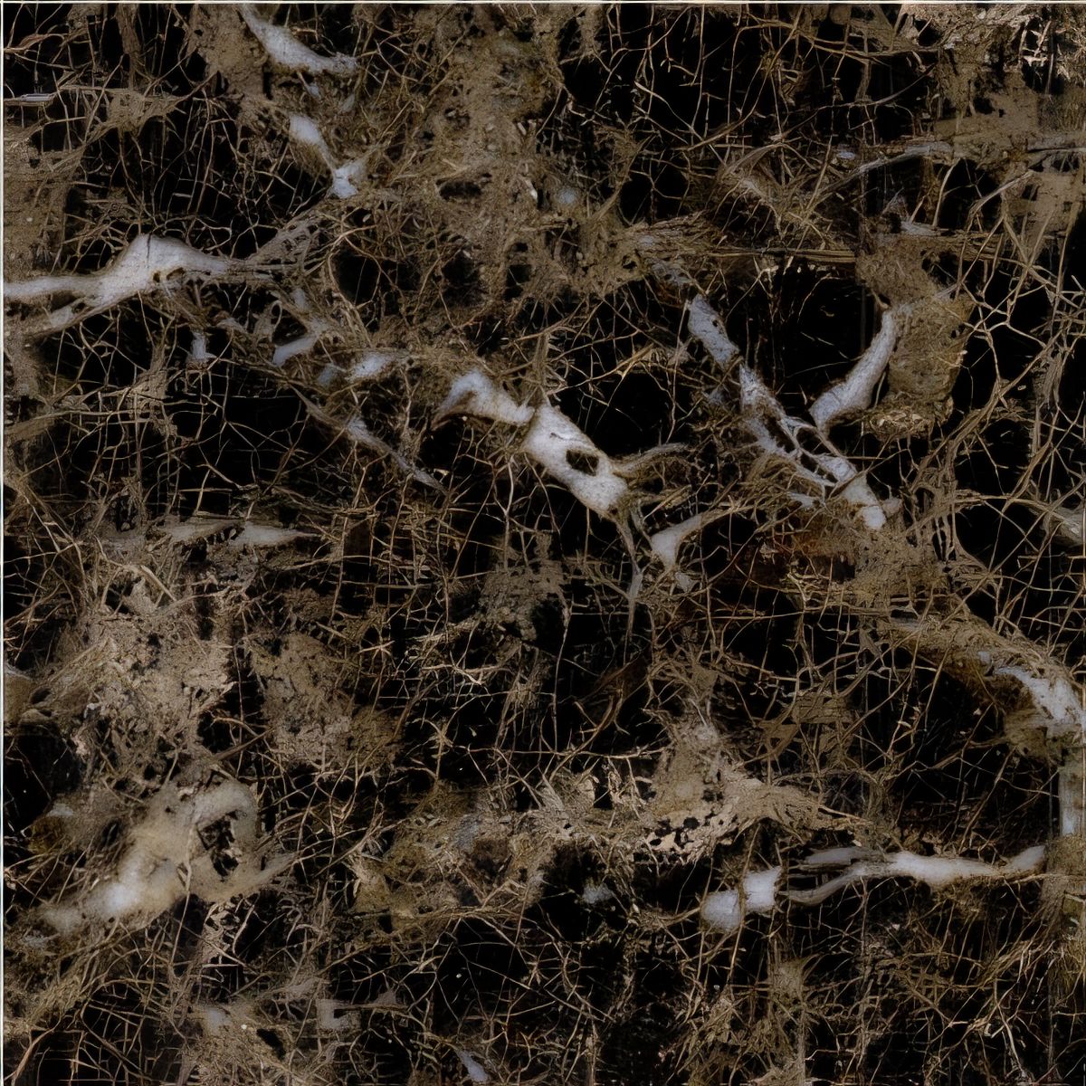ULG-MBL-020 - Dark Emperador Marble