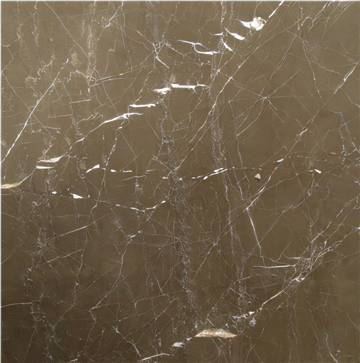 ULG-MBL-024 - Bronze Armani