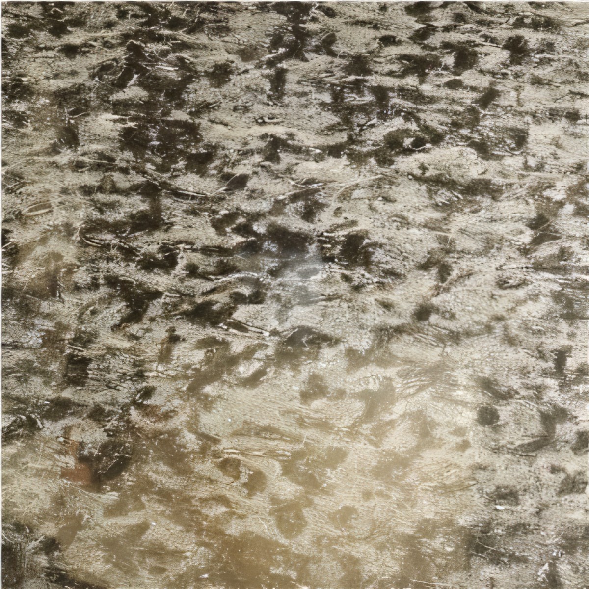 ULG-MBL-028 - Amazon Black Marble