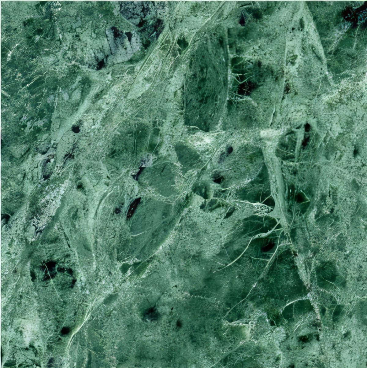 ULG-MBL-076 - Baroda Green Marble