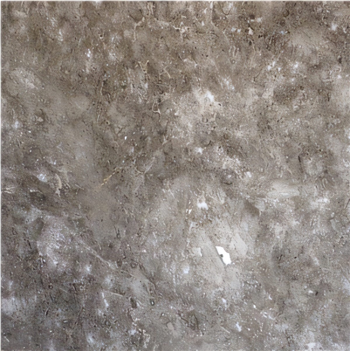 ULG-MBL-091 - Grigio Billiemi Marble