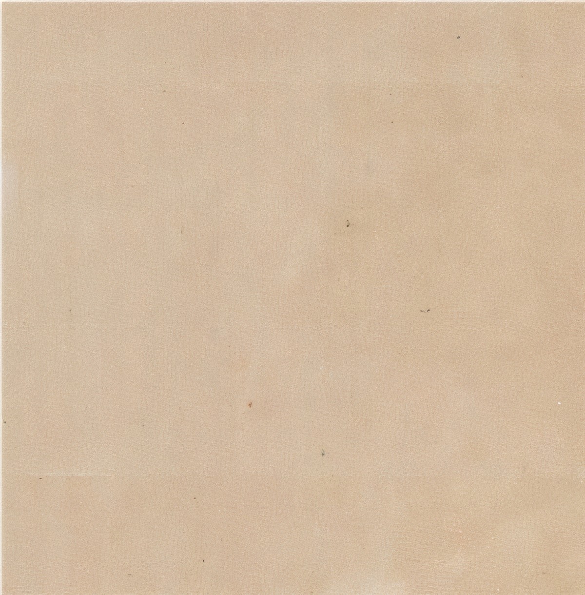 ULG-SND-006 - Dholpur Beige Sandstone