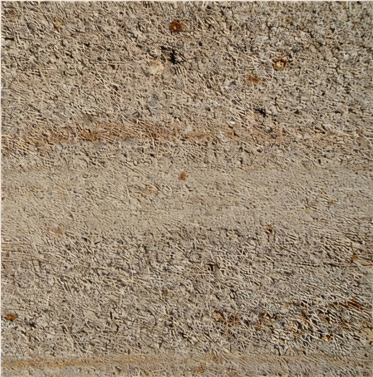 ULG-SND-040 - Aquia Creek Sandstone