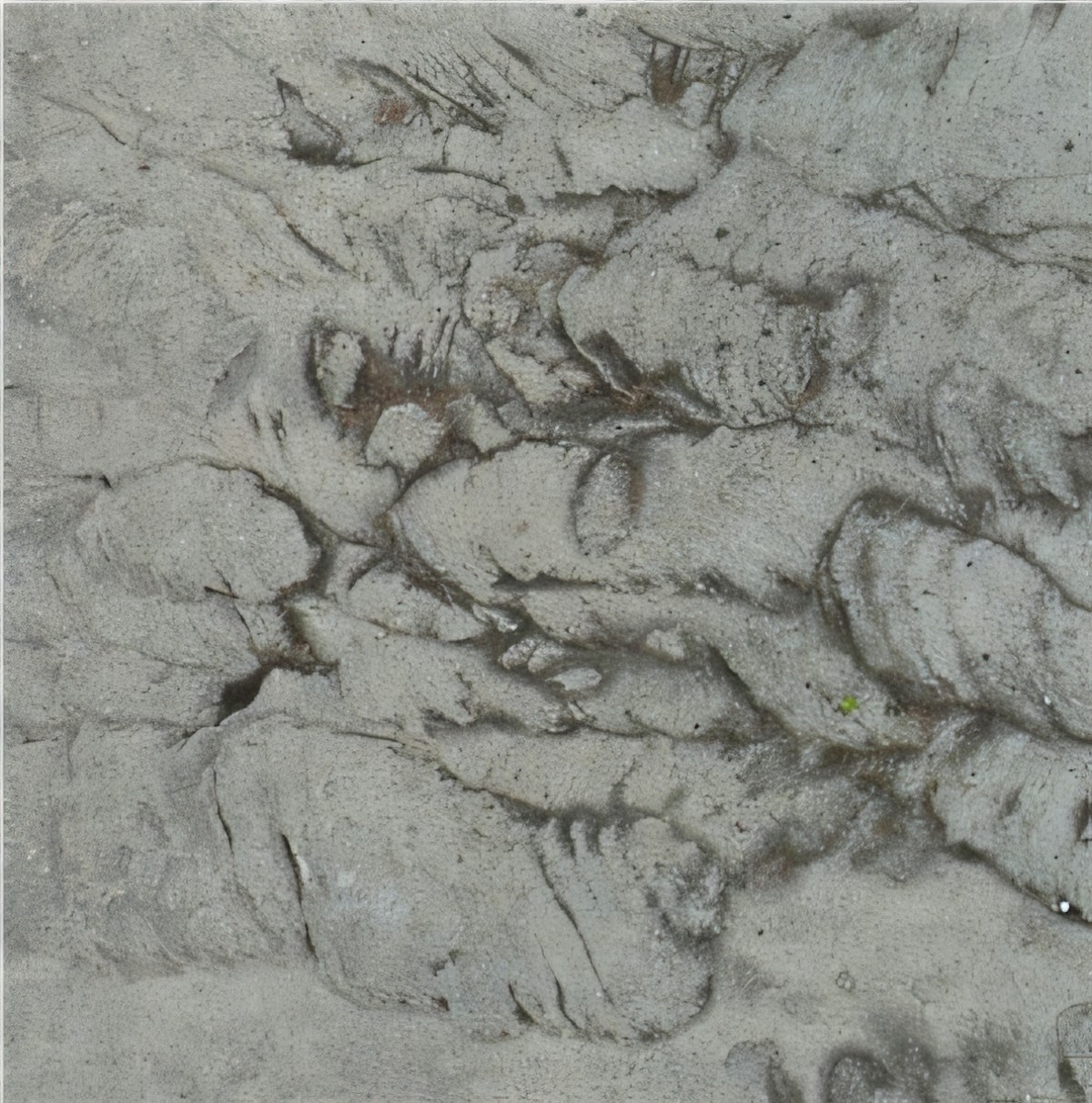 ULG-SND-072 - Amherst Gray Sandstone