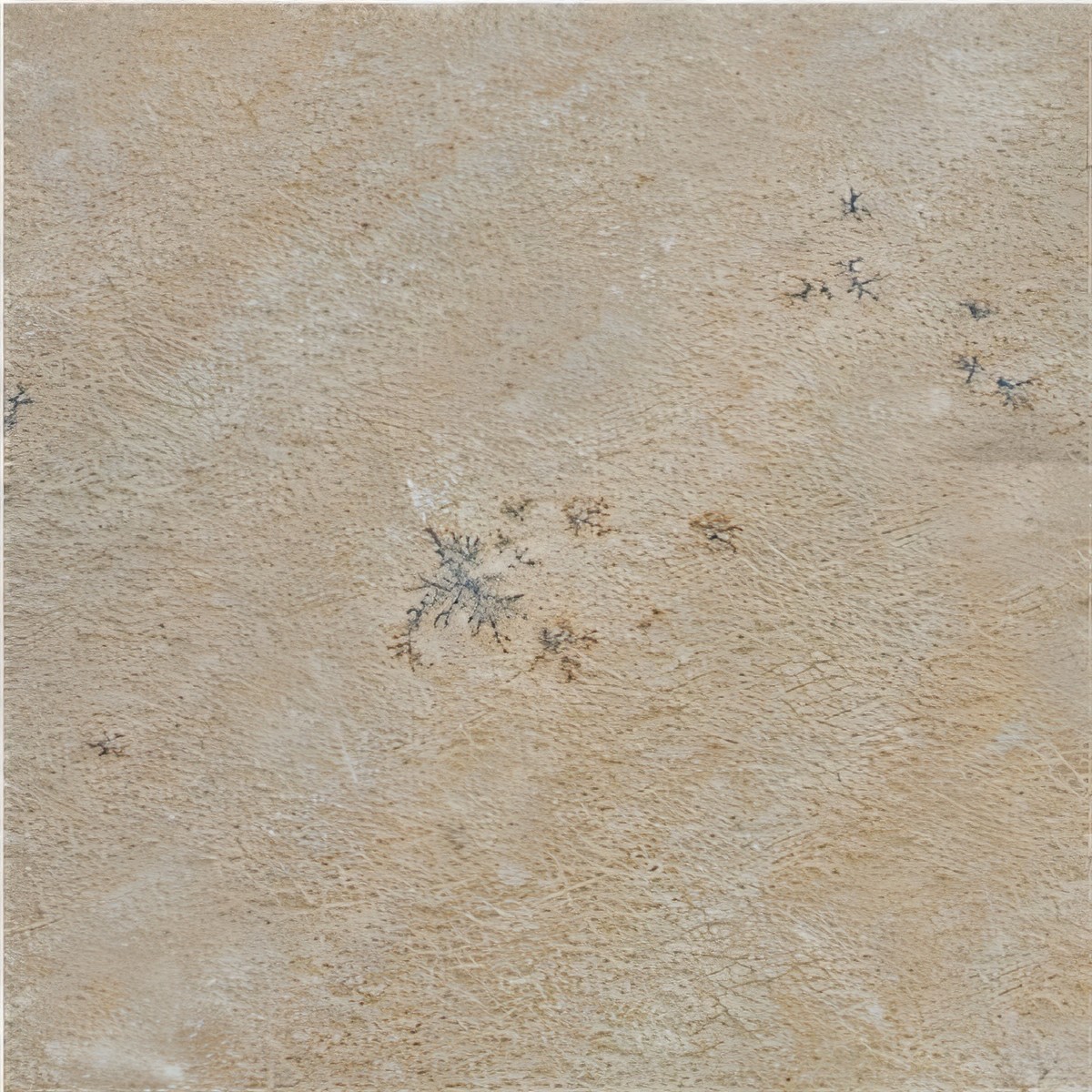 ULG-SND-078 - Tint Mint Sandstone