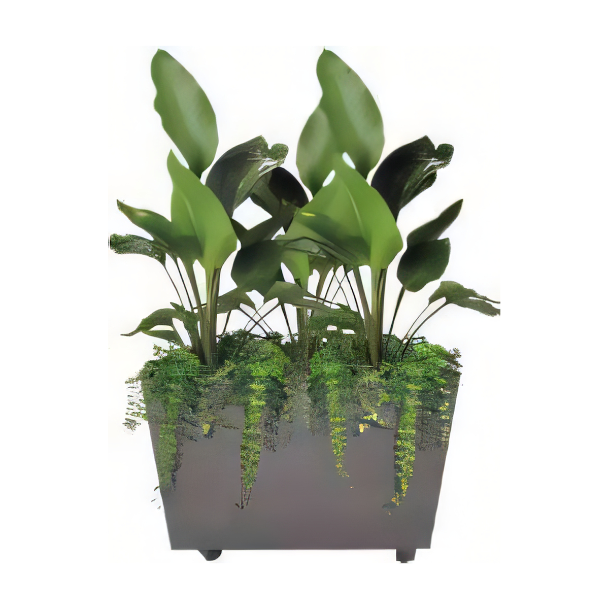 ULG-PLN-021 - Planter