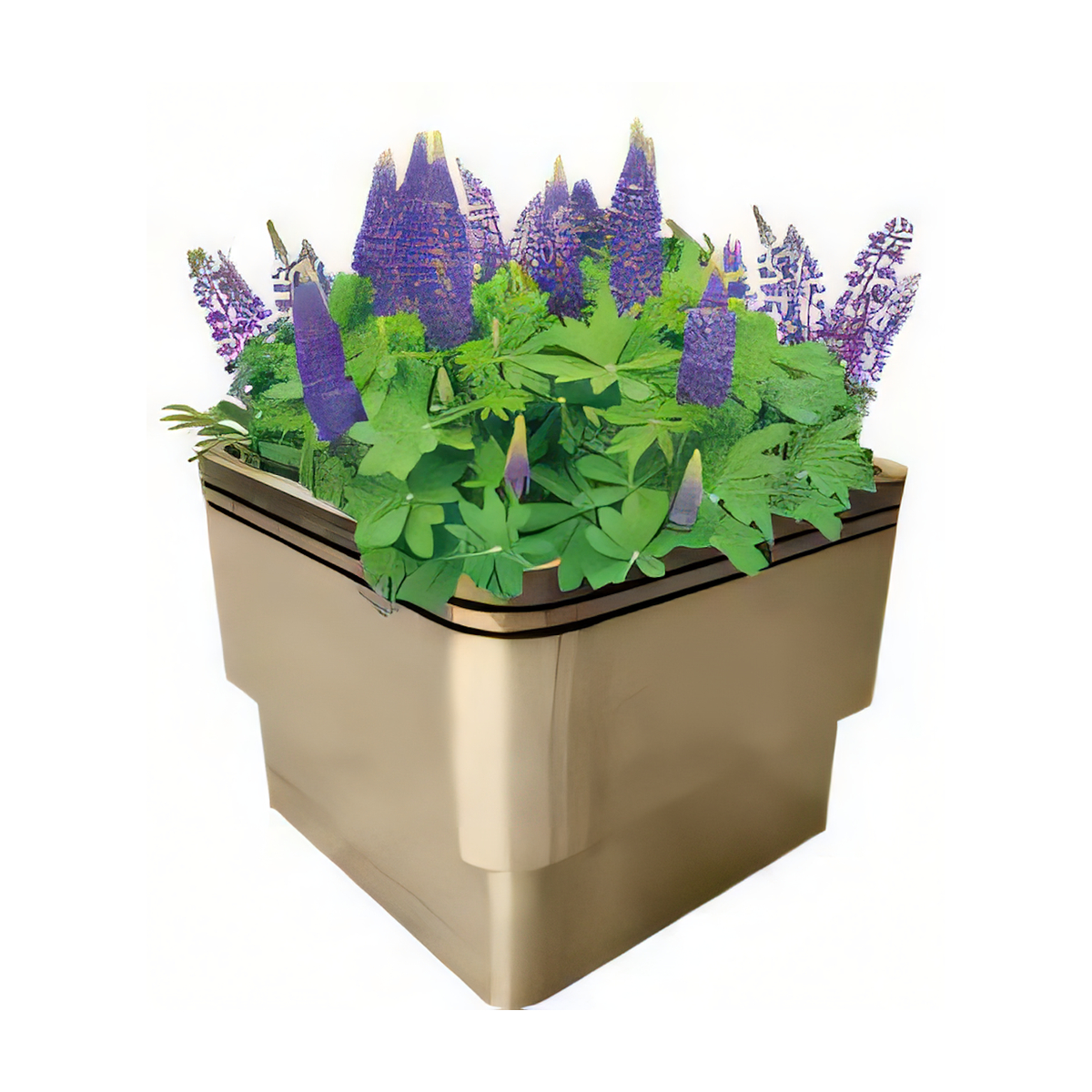 ULG-PLN-029 - Planter
