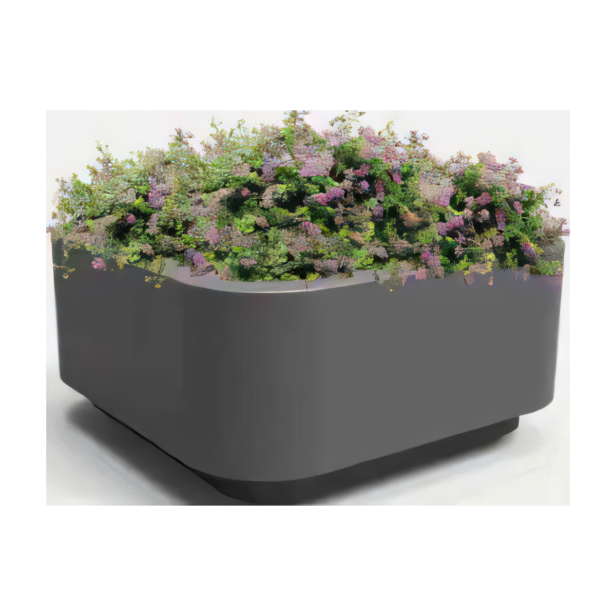ULG-PLN-039 - Planter