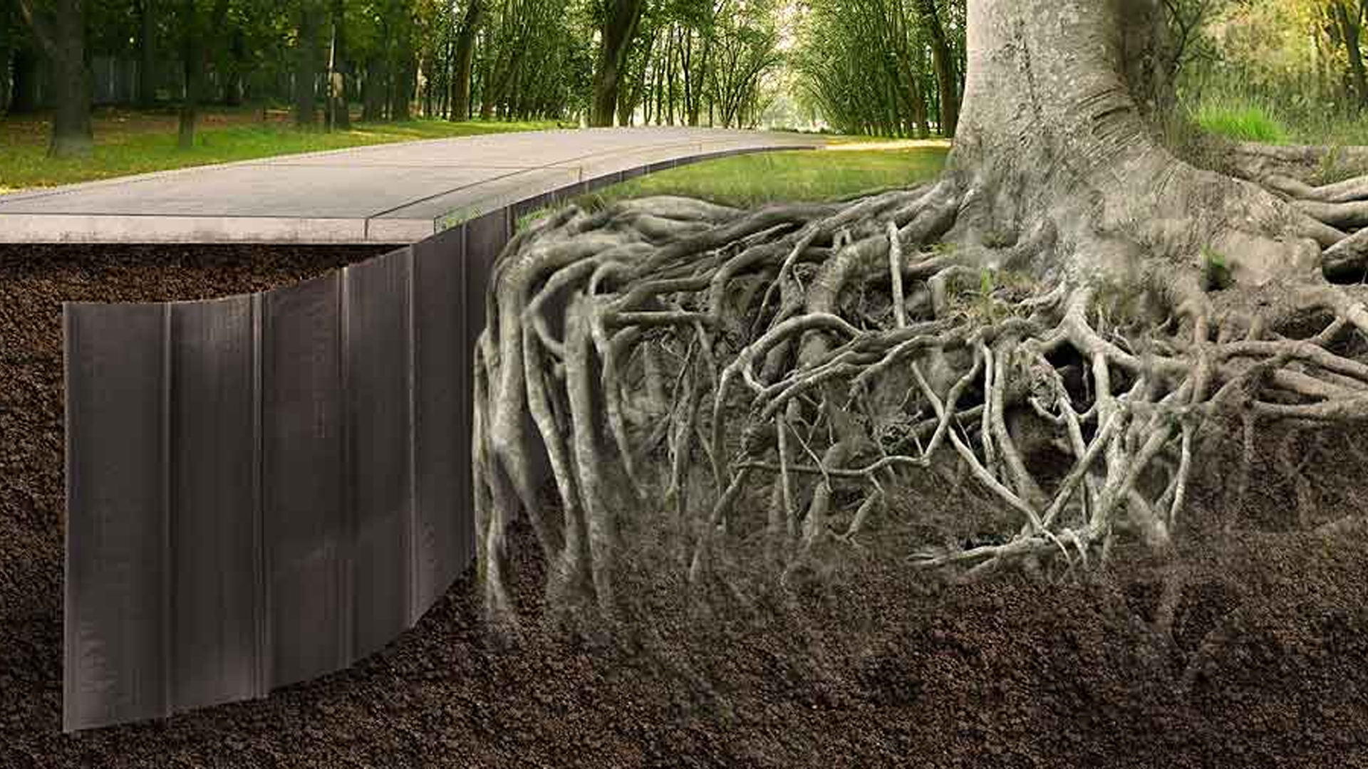 Root Barriers
